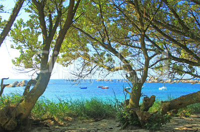 Strand in der Bretagne