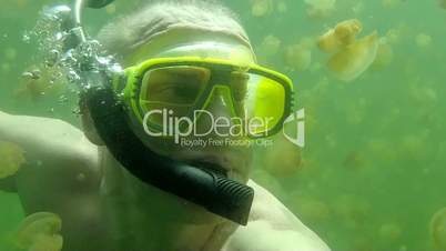 Diver Swimming In Jellyfish Lake Palau Micronesia Pacific Ocean Water