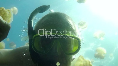 Man Free Diving In Jellyfish Lake Palau Micronesia Pacific Ocean