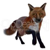 Red fox running- 3D render