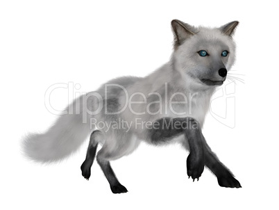 White fox running - 3D render