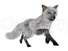 White fox running - 3D render