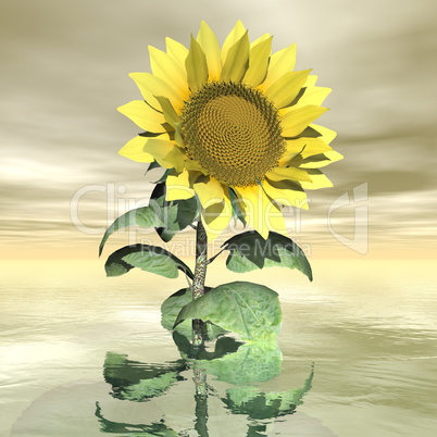 Beautiful yellow sunflower - 3D render