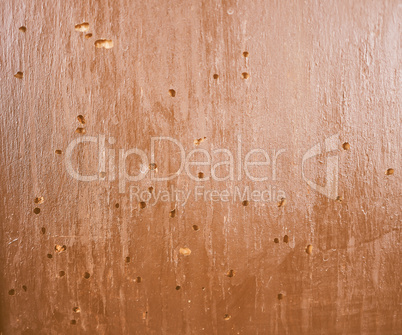 Wood damaged by furniture beetle vintage