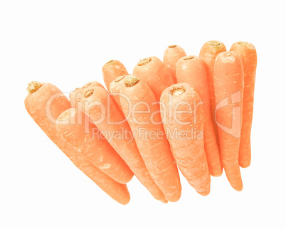 Retro looking Carrots