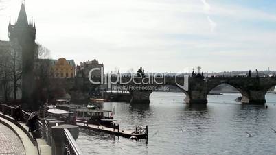 Charles Bridge with Vltava river and birds