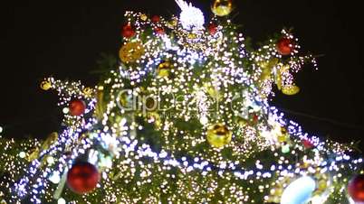 Christmas tree in night