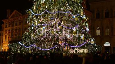Christmas tree in night - on the street with people - Old Town Square
