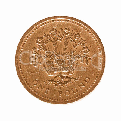 British pound coin vintage
