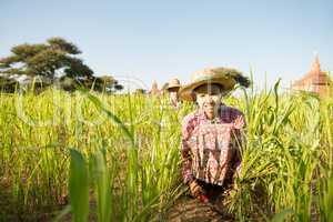 Young Asian Myanmar female farmer
