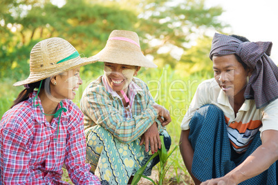 Traditional Myanmar farmers
