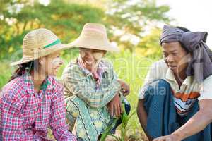 Traditional Myanmar farmers