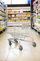 Cart in the supermarket