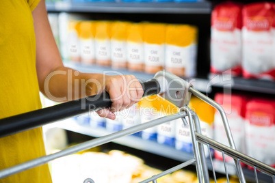 Detail of woman pushing cart