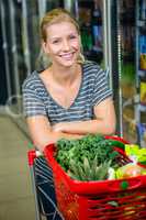 Portrait of smiling woman with shopping basket