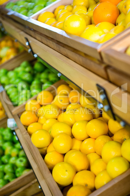 Close up view of vegetable shelf