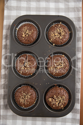 Schokoladen Muffins