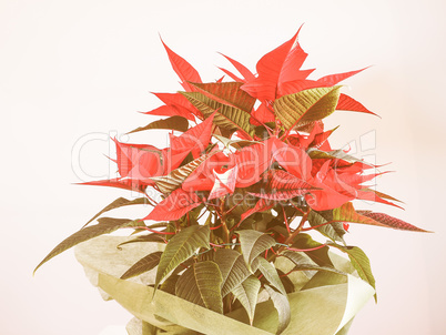 Retro looking Poinsettia Christmas star