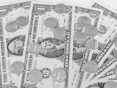 Black and white Dollar coins and notes Black and white Dollar coins and notes