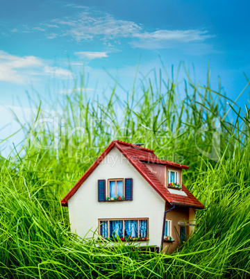 House on the green grass