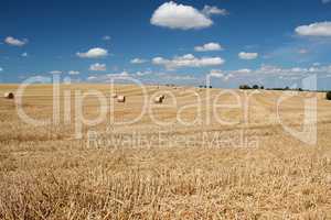 Remove wheat field