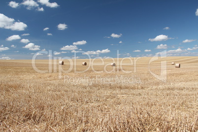 Remove wheat field