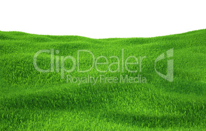 Green grass growing on hills with white background top view