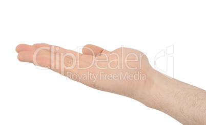 Hand of an adult male isolated on a white background