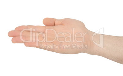 Hand of an adult male isolated on a white background