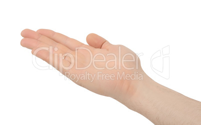 Hand of an adult male isolated on a white background