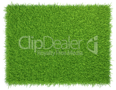 Green grass. natural background texture. fresh spring green grass