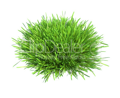 Fresh green grass piece of land isolated on white background