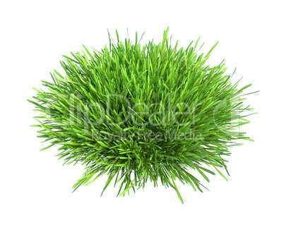 Fresh green grass piece of land isolated on white background