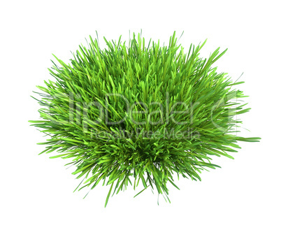 Fresh green grass piece of land isolated on white background