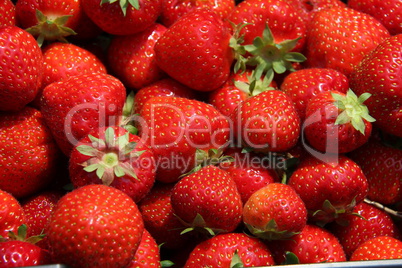 Strawberries