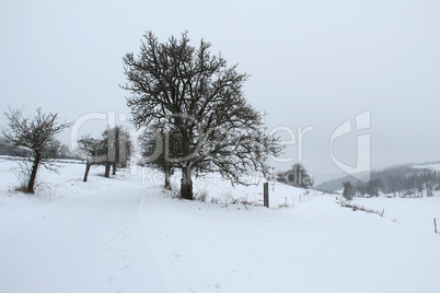 Winter landscape. Fields covered with the first snow.