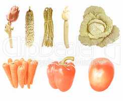 Retro looking Vegetables isolated