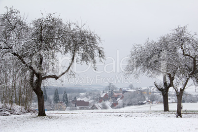 Winter landscape