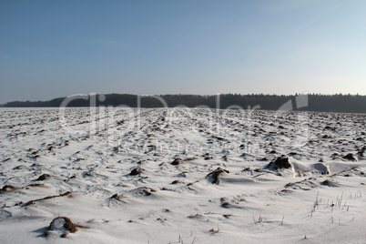 Plowing winter