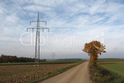 Autumn landscape