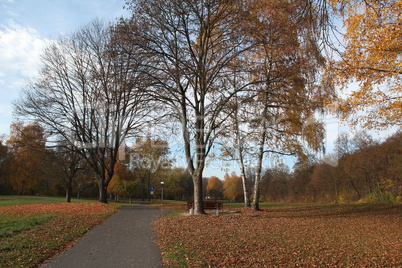 Autumn Park