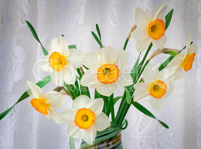 Blossoming narcissuses in a vase on a table.