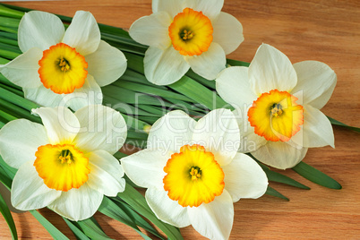 Large blossoming narcissuses on a table.