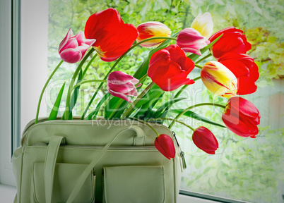 Flowers tulips and a women bag on a window window sill.