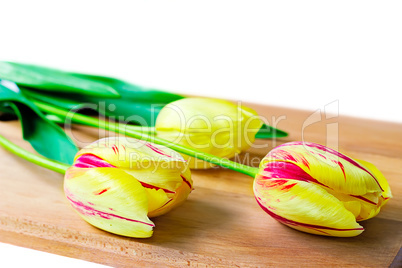 Three bright red tulips on a white background.