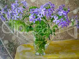 Blossoming violets in a crystal vase.