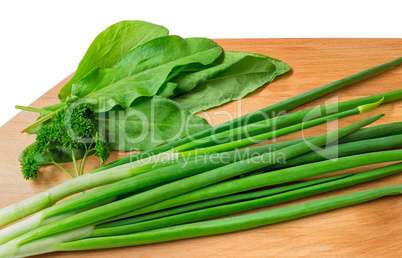 Green onions, parsley and sorrel on a white background