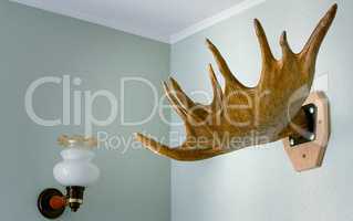 Trophy of the hunter - a horn of an elk. It is presented as an i