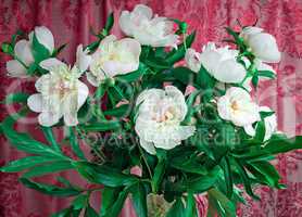 Bouquet of white peonies on a beautiful background.