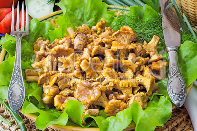 Fried mushrooms of chanterelle on a dish together with lettuce l